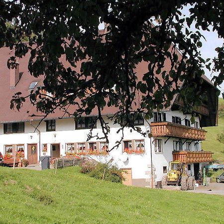 Schanzenberghof Hornberg Extérieur photo